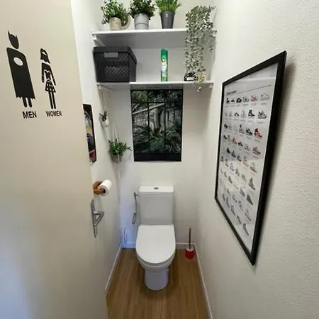 Appartement A Proximite Jardin Arbore A Pied Confort Saint-Elme